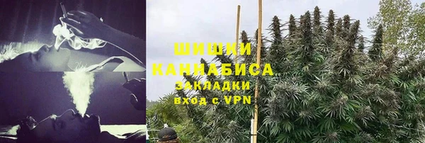 ГАЛЛЮЦИНОГЕННЫЕ ГРИБЫ Белокуриха